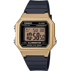 Casio W-217HM-9A