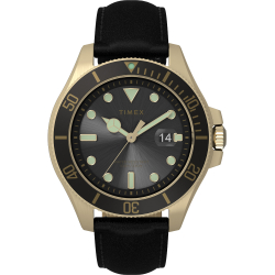 Timex TW2V42200