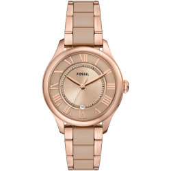 Fossil CE1133