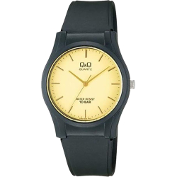 Q&Q VQ02-002
