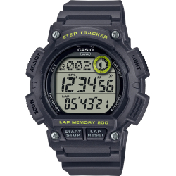 Casio WS-2100H-8A