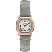 "Fossil" ES5435