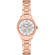 "Fossil" ES5420