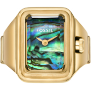 "Fossil" ES5411