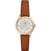"Fossil" ES5423