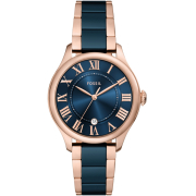 "Fossil" CE1134