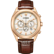 "Citizen" CA4593-15A