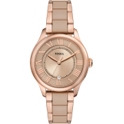 "Fossil" CE1133