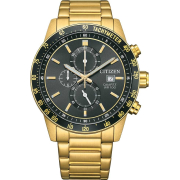 "Citizen" AN3682-54E