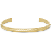������� Fossil JF04610710