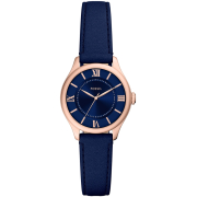 "Fossil" ES5424