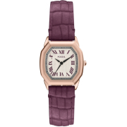 "Fossil" ES5428