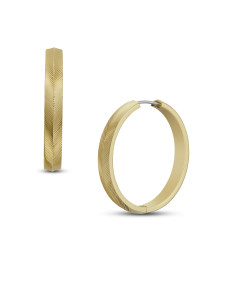 ������ Fossil JF04538710