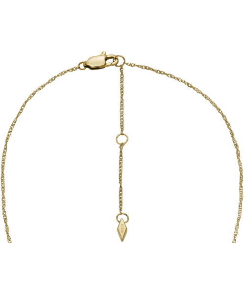 �������� Fossil JF04424710 #4