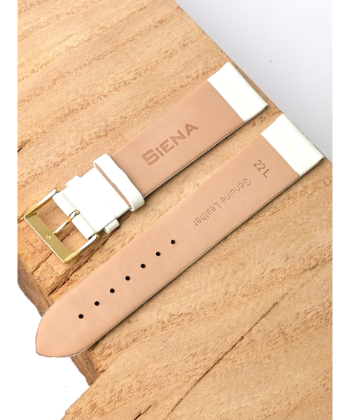 �. Siena 530-2212 #2