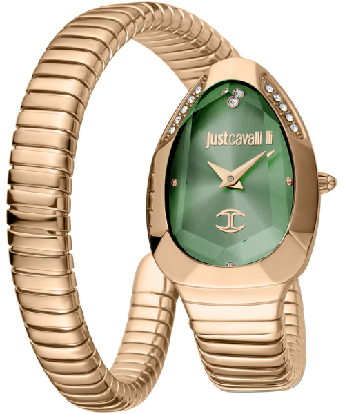 ���� Just Cavalli JC1L208M0055 #1