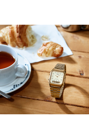 Casio AQ-230GA-9D