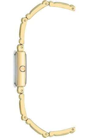 Anne Klein 4898CHGP